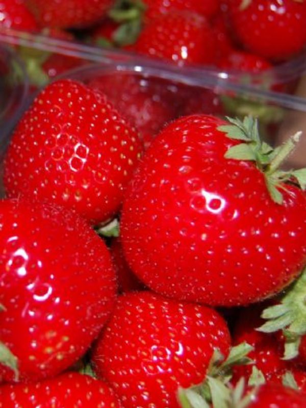 Rosie's Jam Making Classes from Love Jars' online jam jar shop