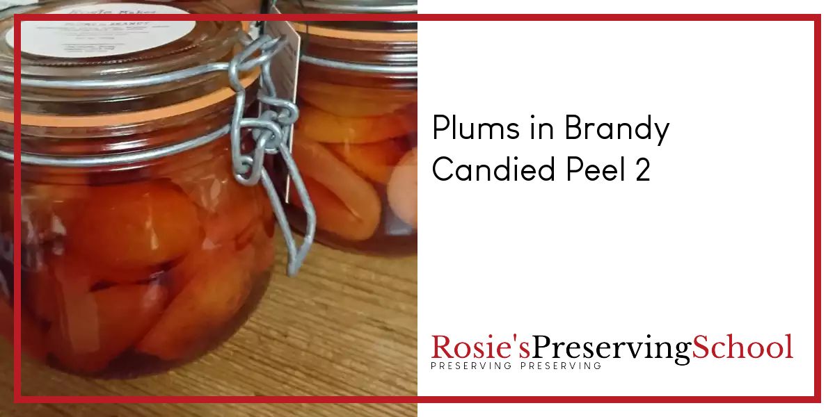Online to make and preserve Plums in Brandy at Rosie's